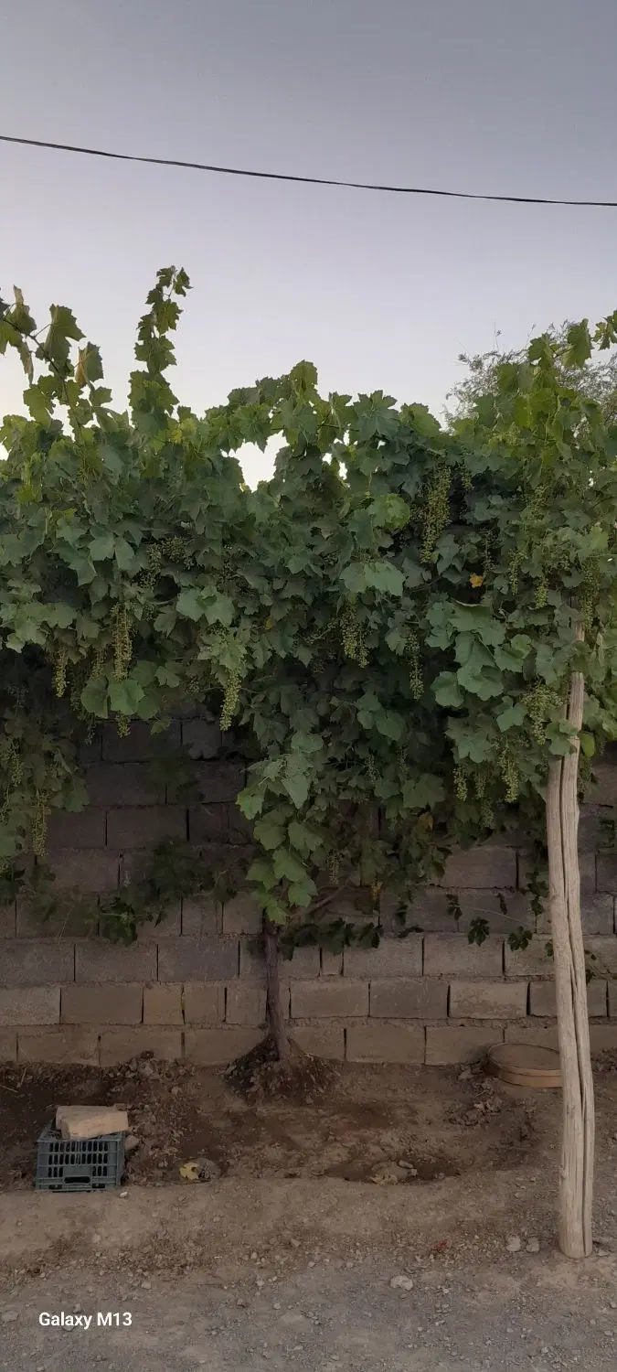 خانه ویلایی در روستا