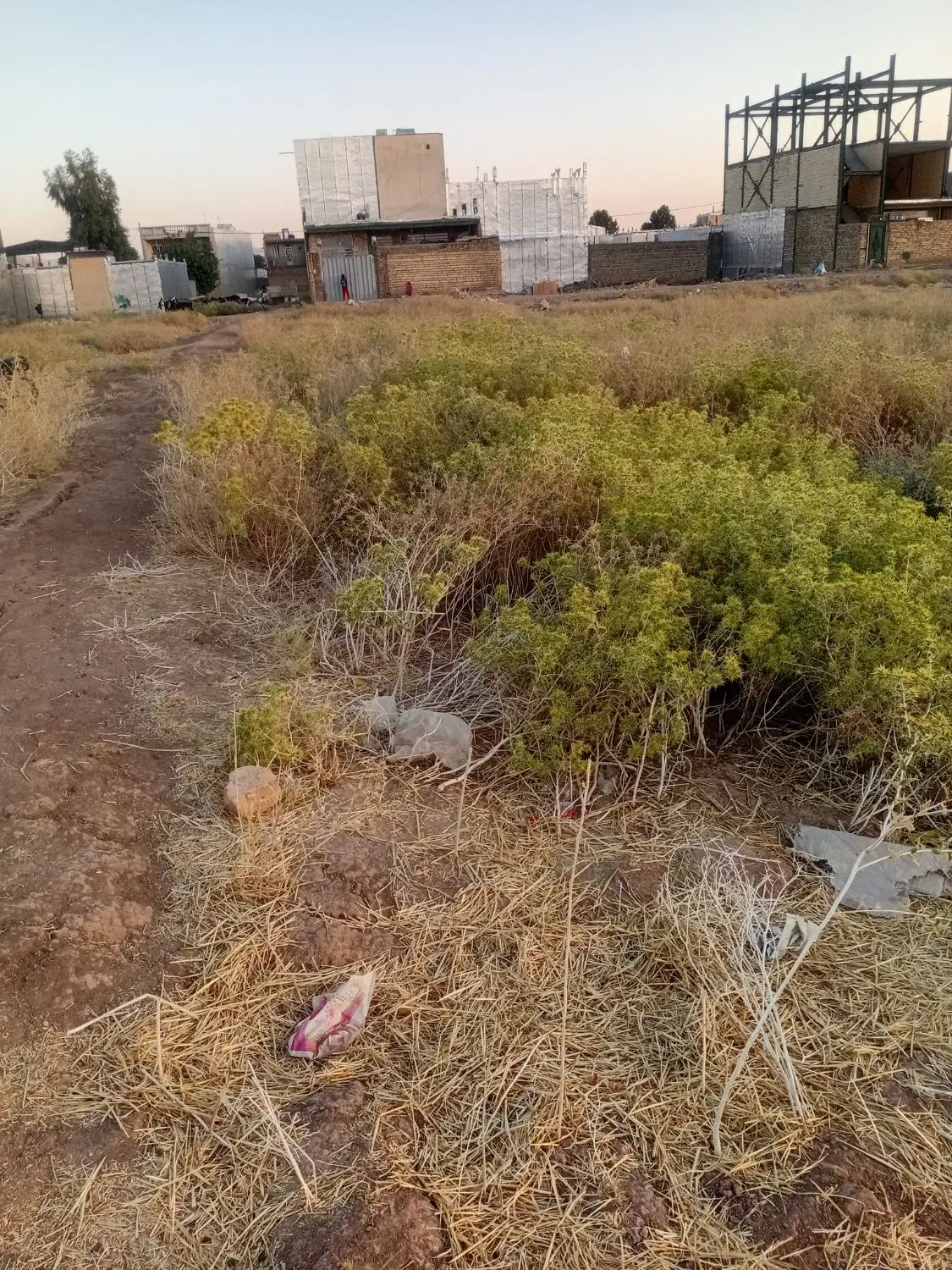 زمین ۱۰۰ متری بوعلی گلستان ۲۱