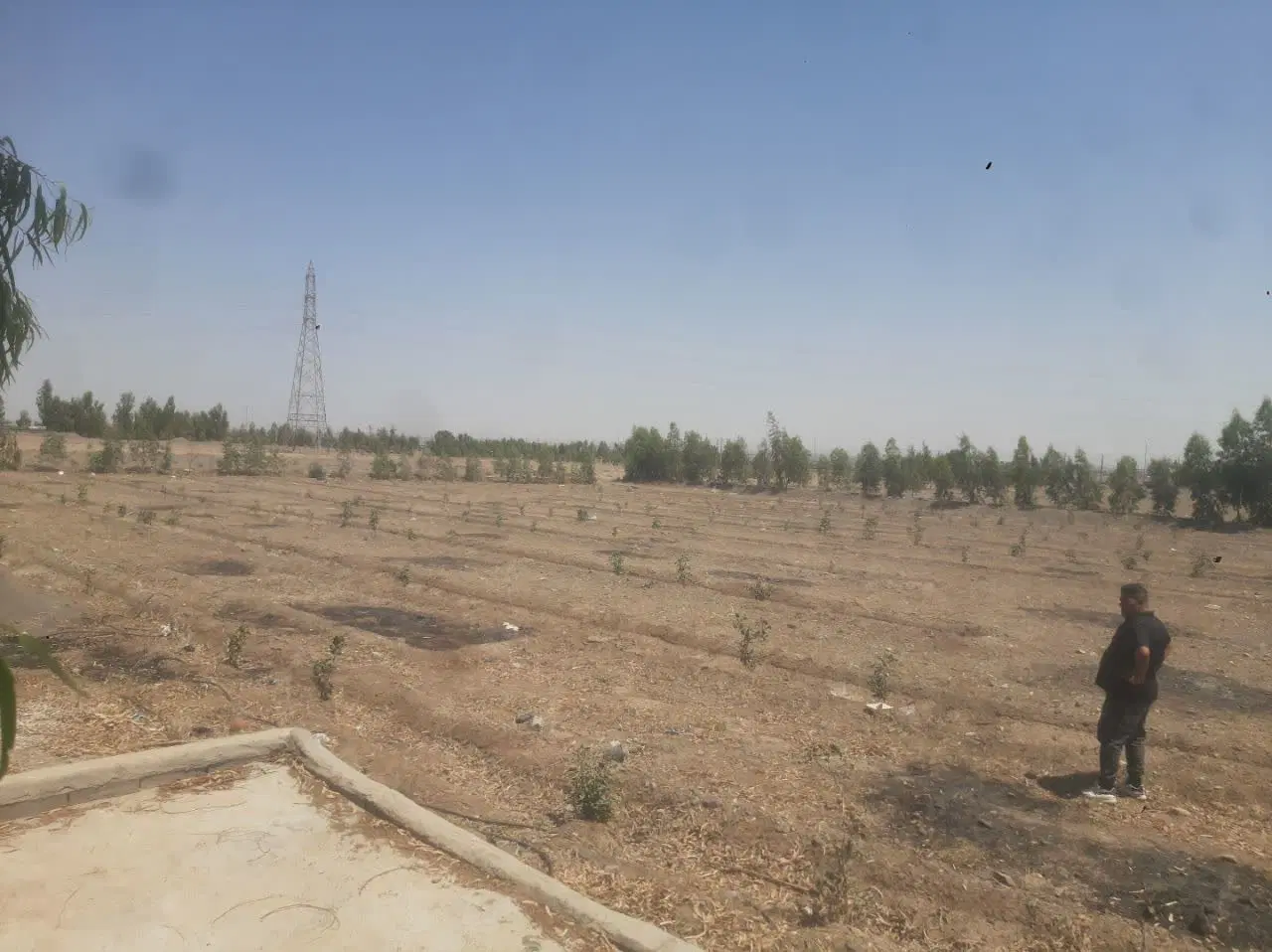 باغ باغچه