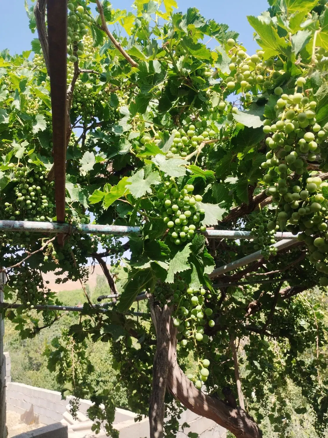 خانه یا منزل ویلایی قارلق