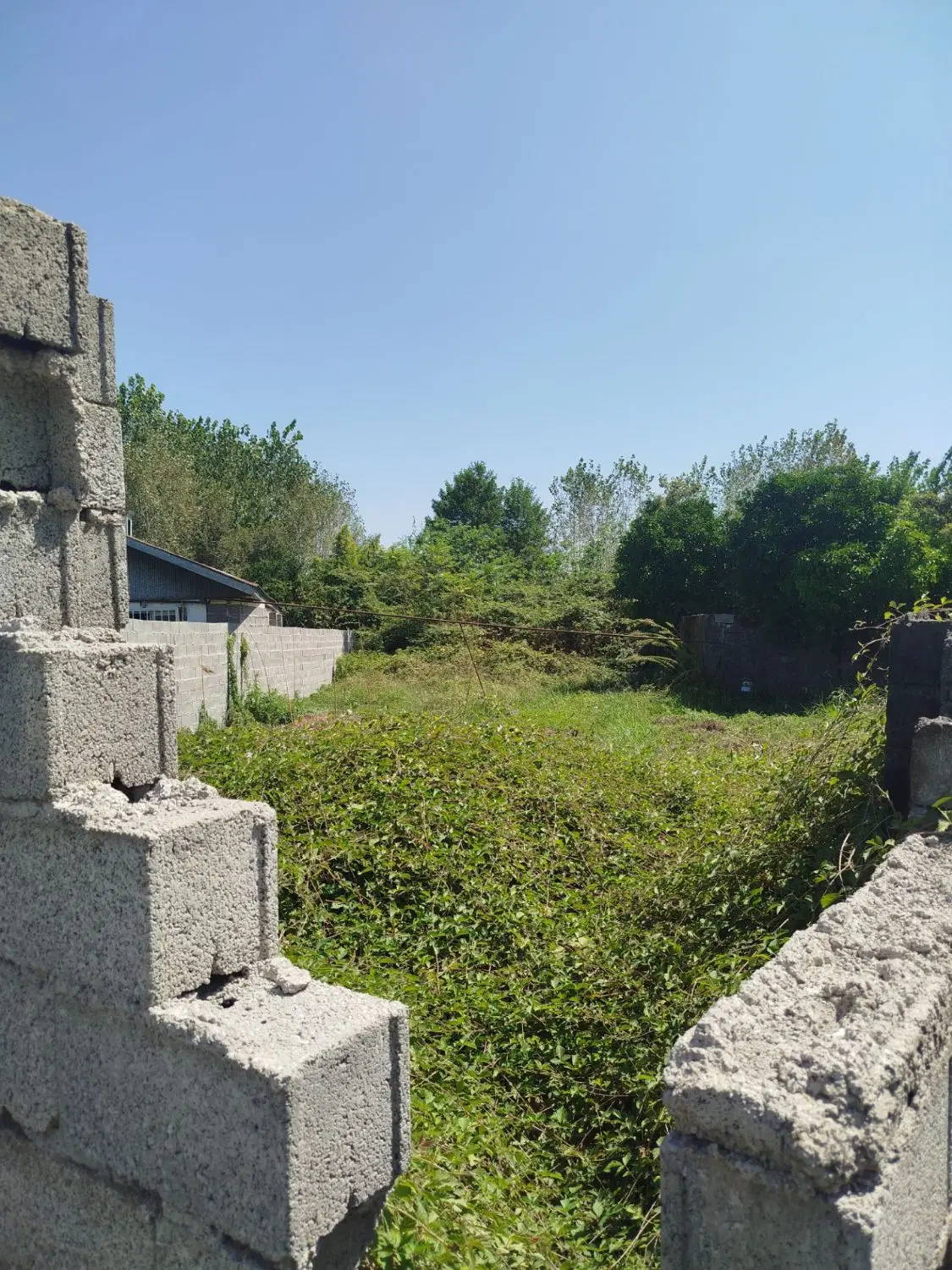 دو قطعه زمین 300  و 500 در فتاتو یک 250متری انزلی