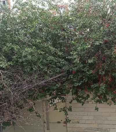 فروش تک واحده طبقه ی اول