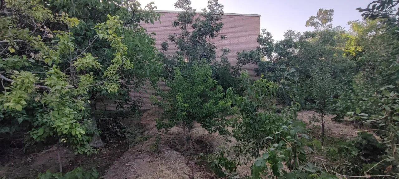 باغ واقع در روستای دارالسلام
