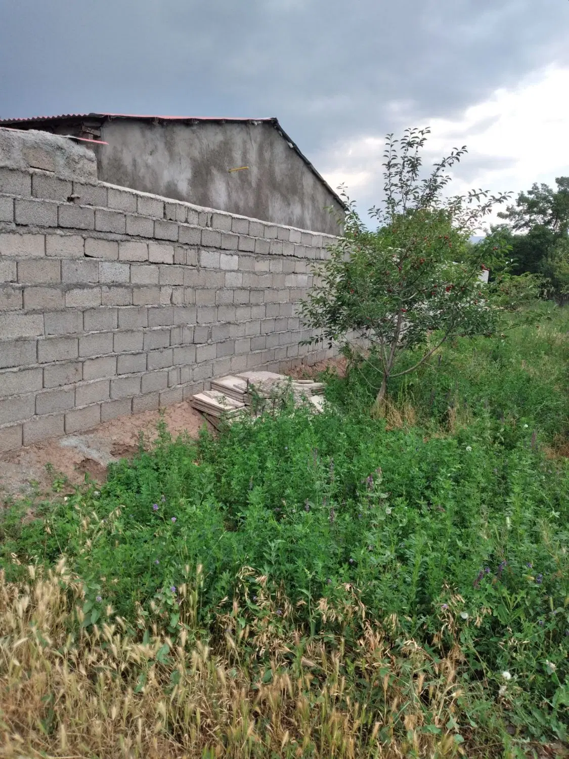 یک قطعه زمین برای احداث باغ وویلاسازی فیرورق(پئره)