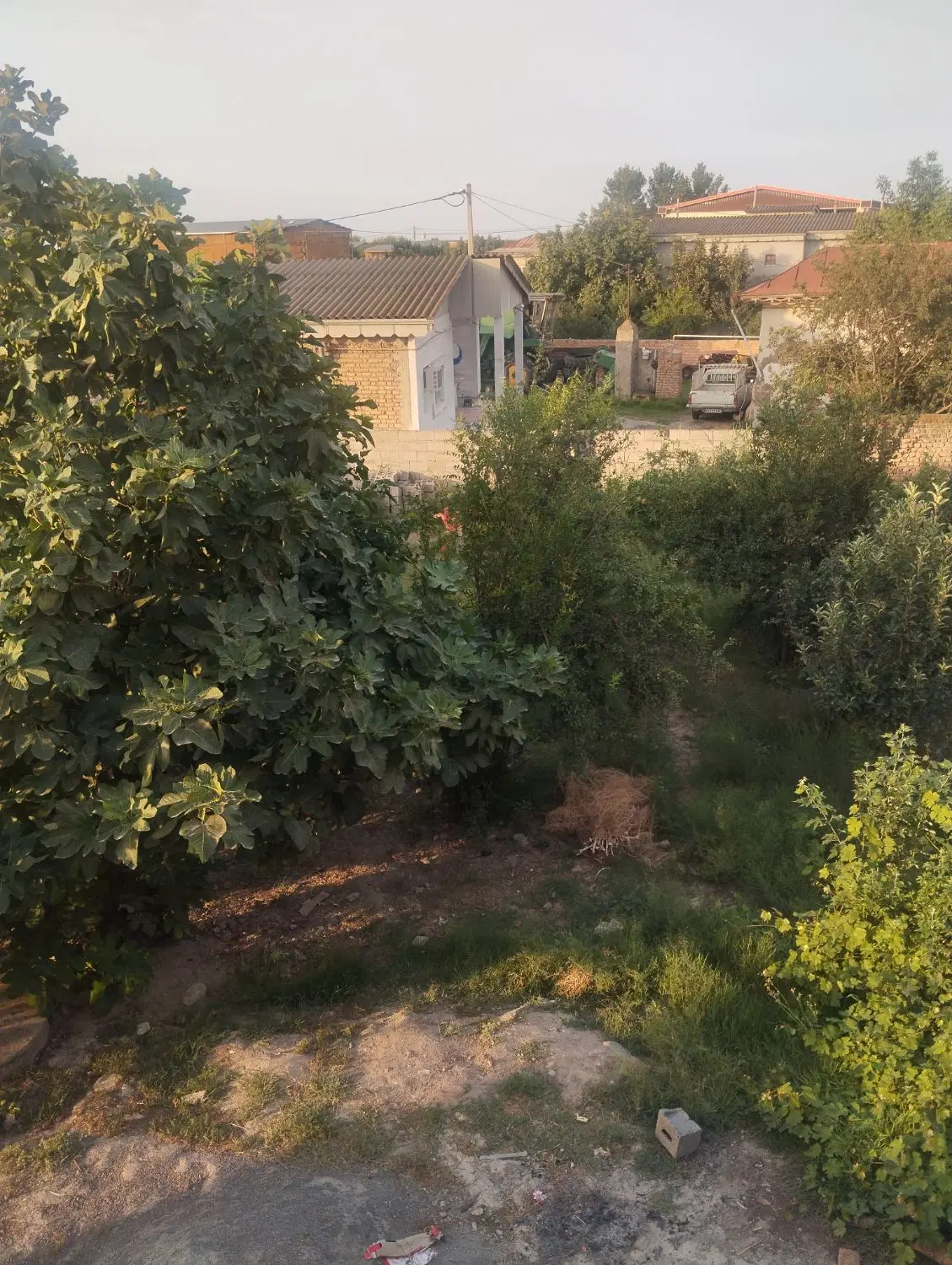 زمین مسکونی