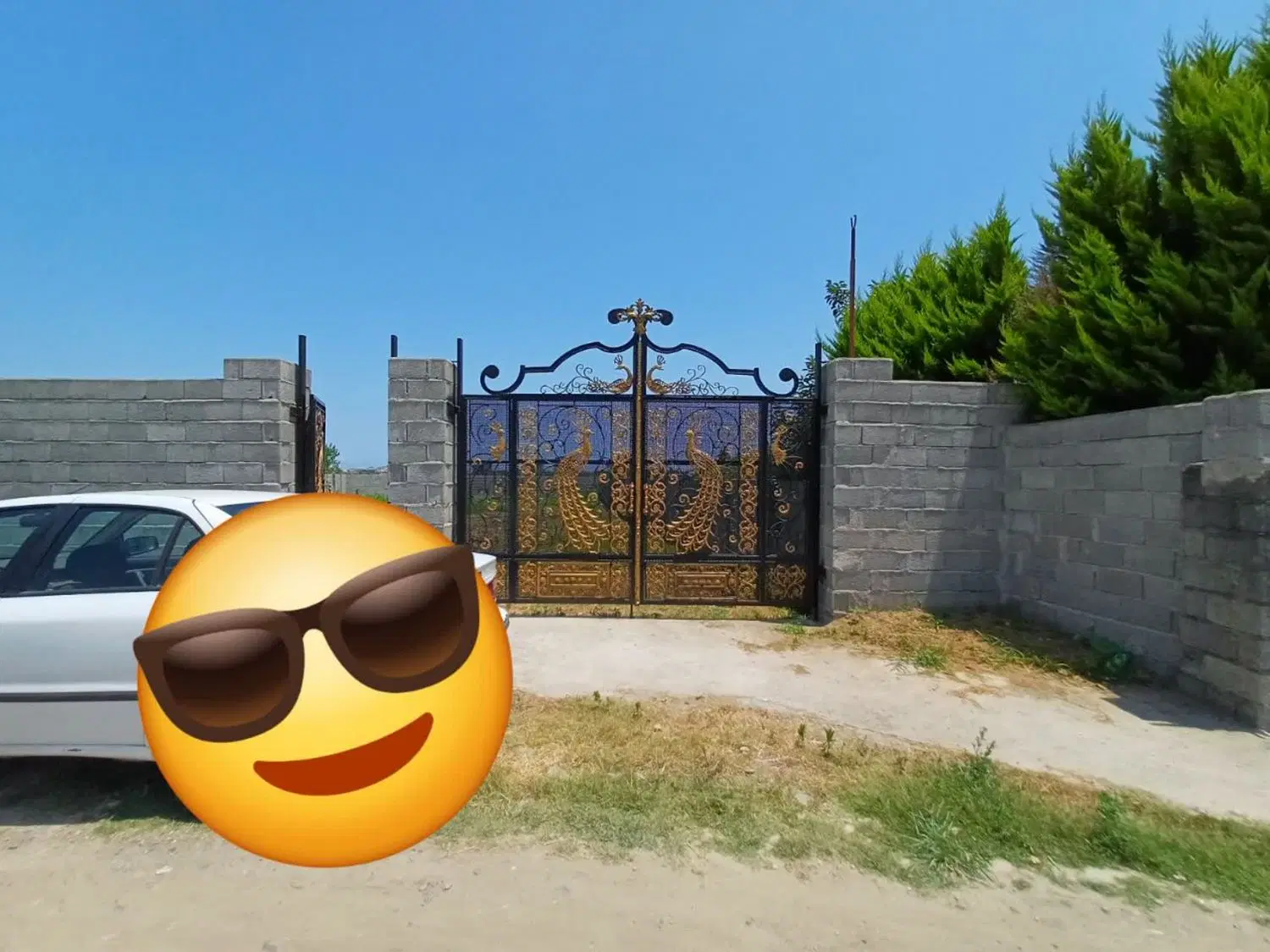 زمین مسکونی و باغی