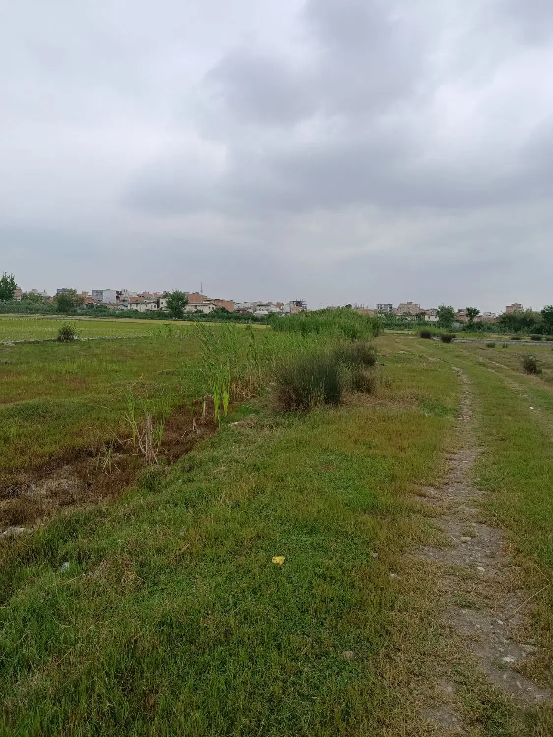 زمین درکمربندی هادی نوروزی