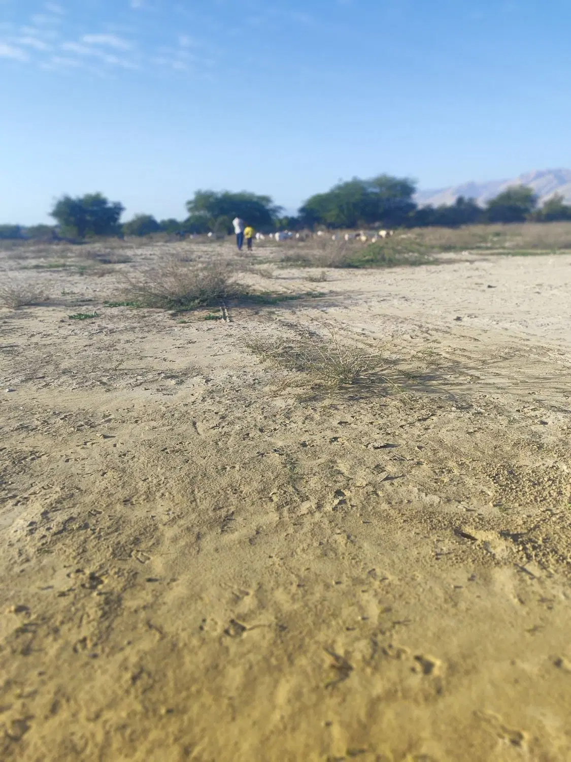 منزل ویلای