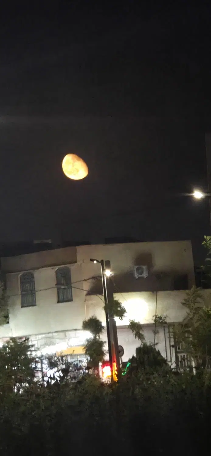 هم خونه میشم