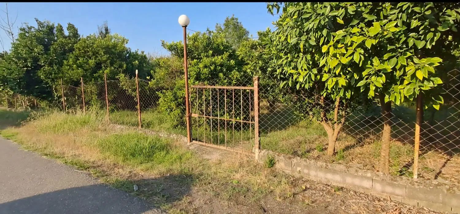 زمین عالی باغ مرکبات