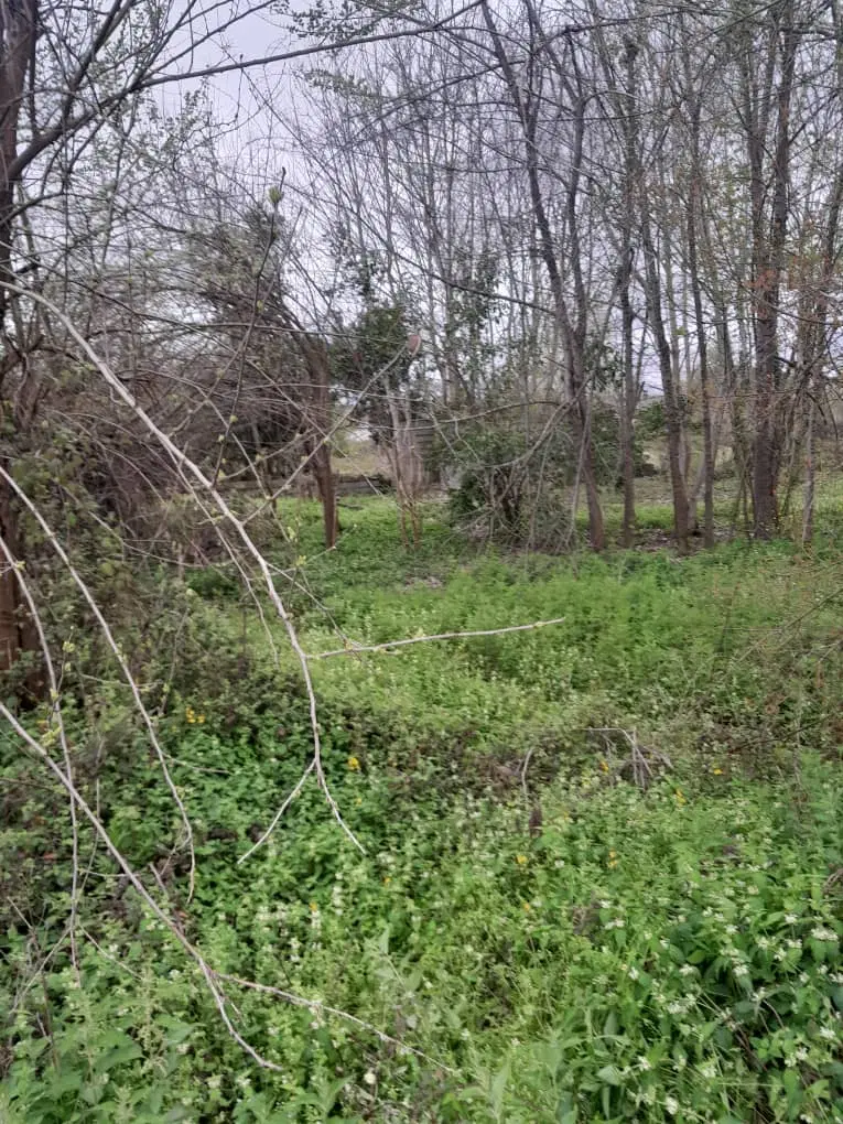 زمین مسکونی متراژ 1021دارای سند تک برگ