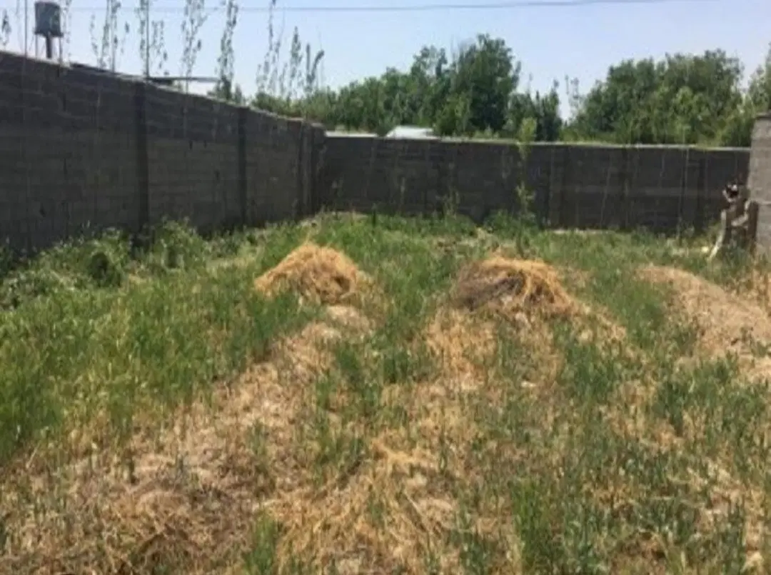 زمین ۲۲۹ متری سند دار