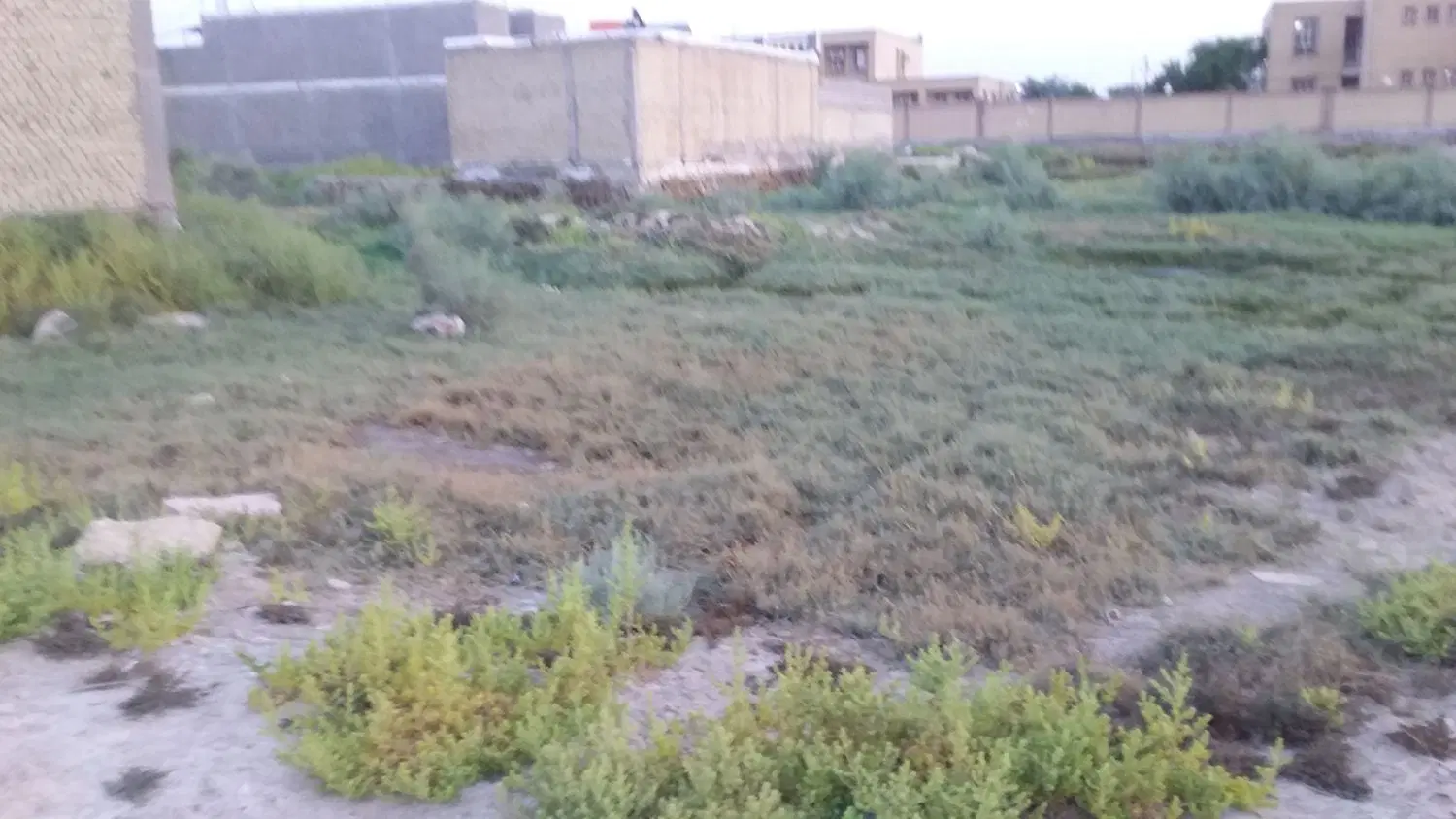 زمین برای فروش