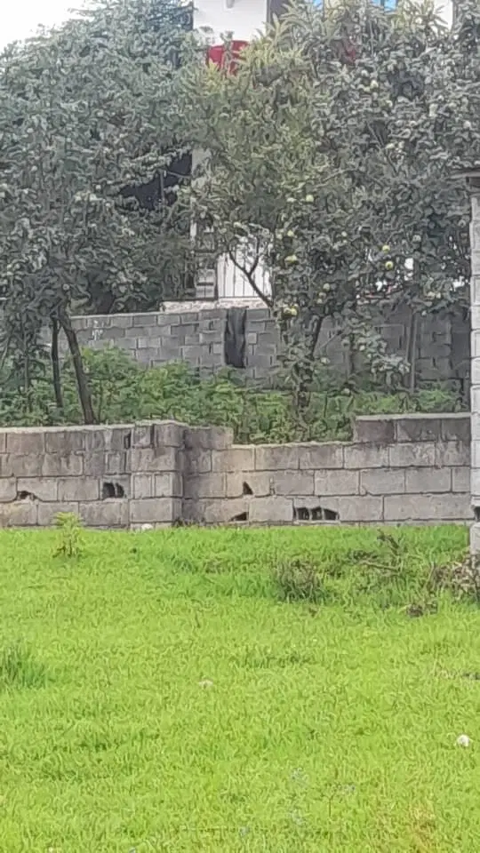 زمین شمال چالوس