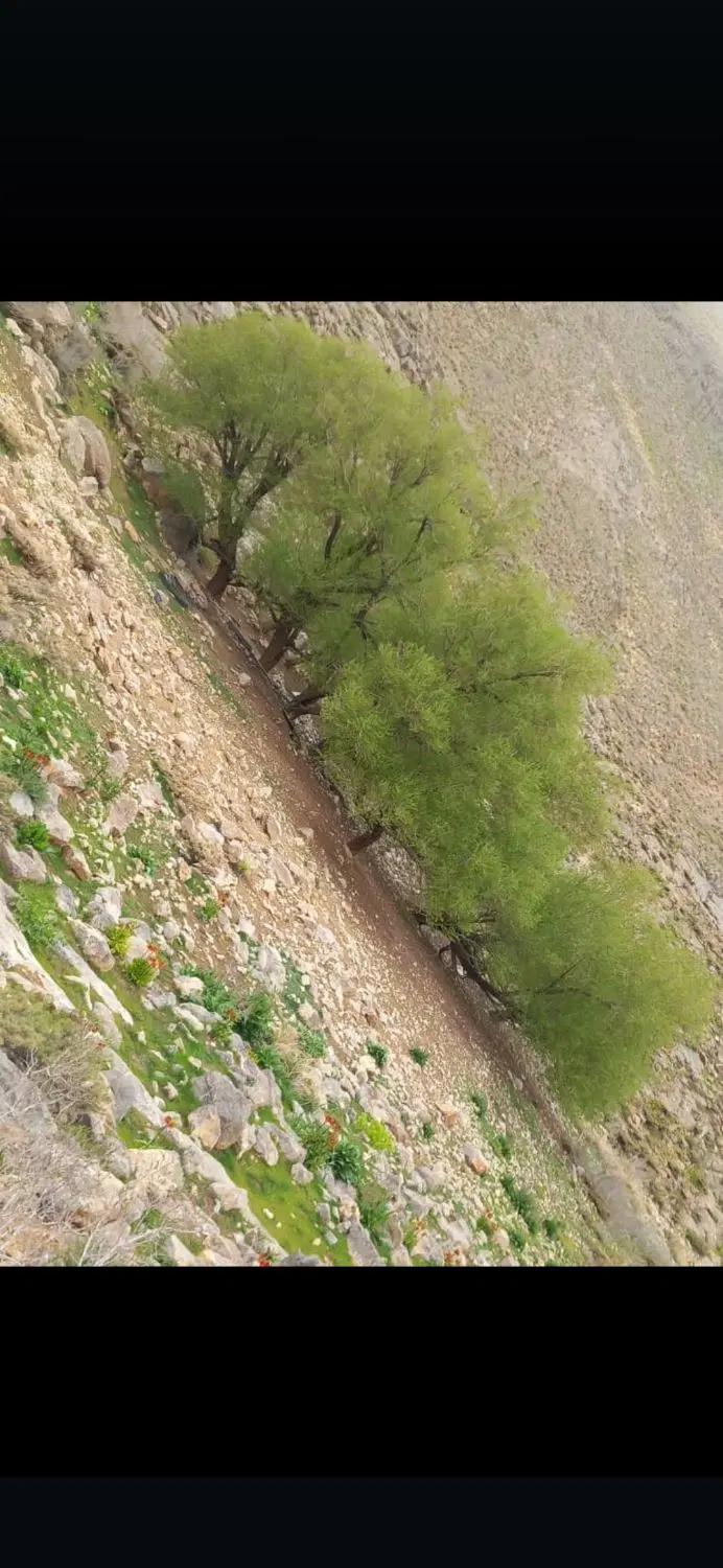 زمین باپروانه گلخانه