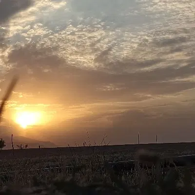 زمین ۱۵۰ متری در کوچه خداقلی فنوش آباد