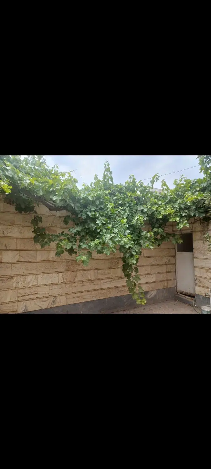 ویلایی دوطبقه دربست بلوارنشاط