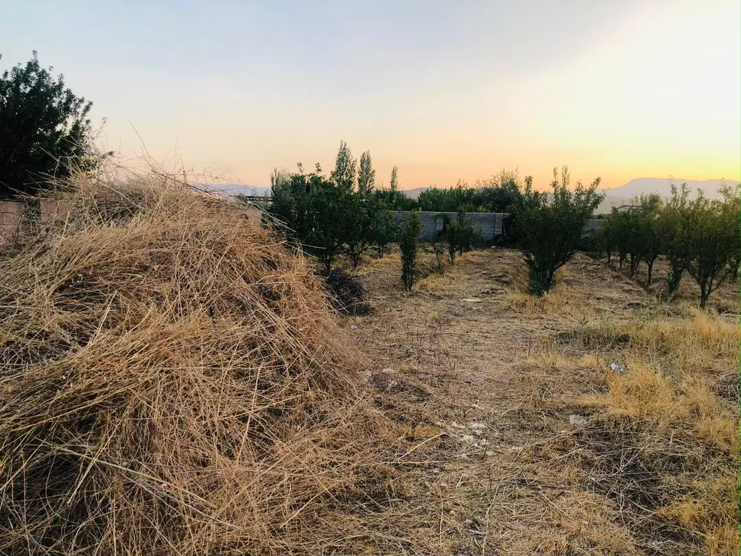 فروش باغچه ۴ دیواری دارای آب برق