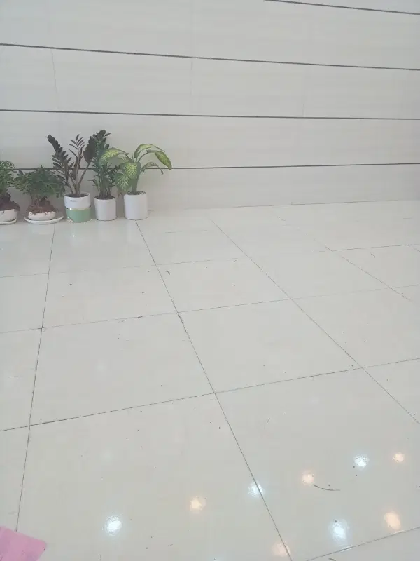منزل دو طبقه صنعتگر