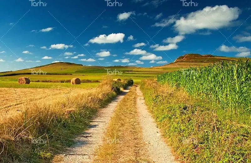 زمین  باغی با پروانه چاه آب