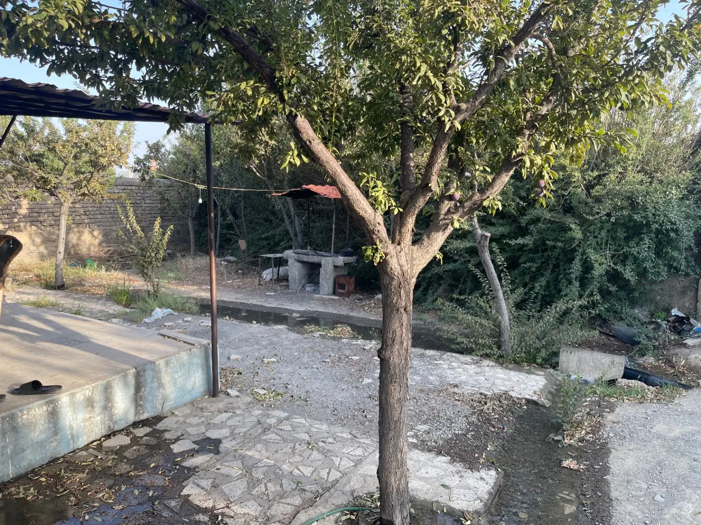 فروش باغ