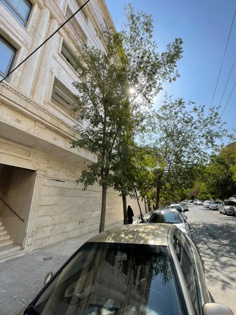 آپارتمان دو نبش ( ابوسعید )