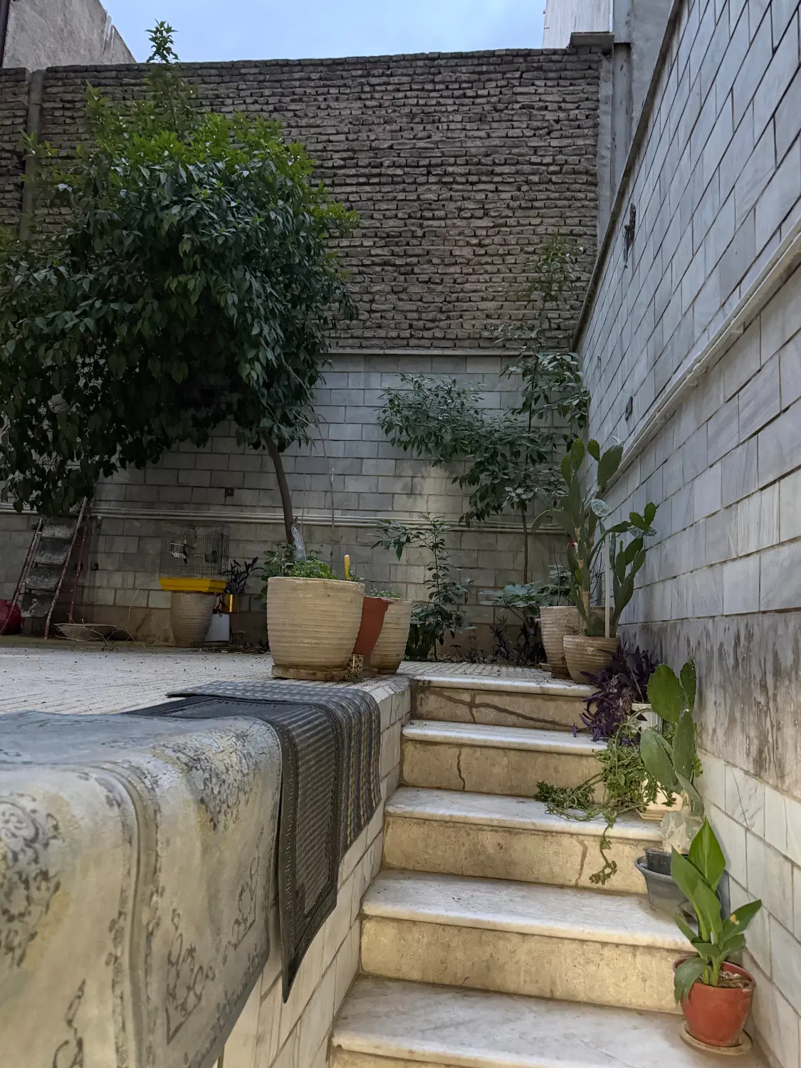 ۹۷ متر فروشی زیرهمکف جنوبی حیاط دار
