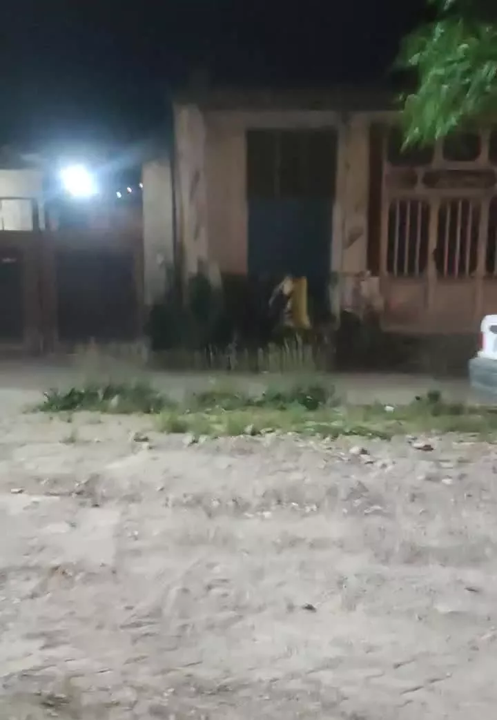 فروش دو باب مغازه