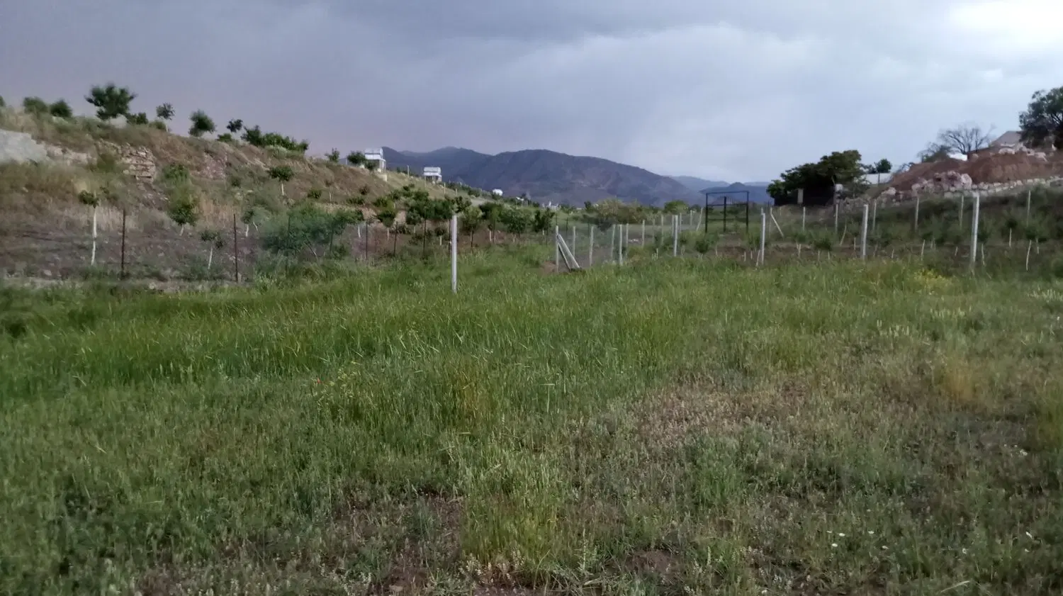رشتقون گلستان