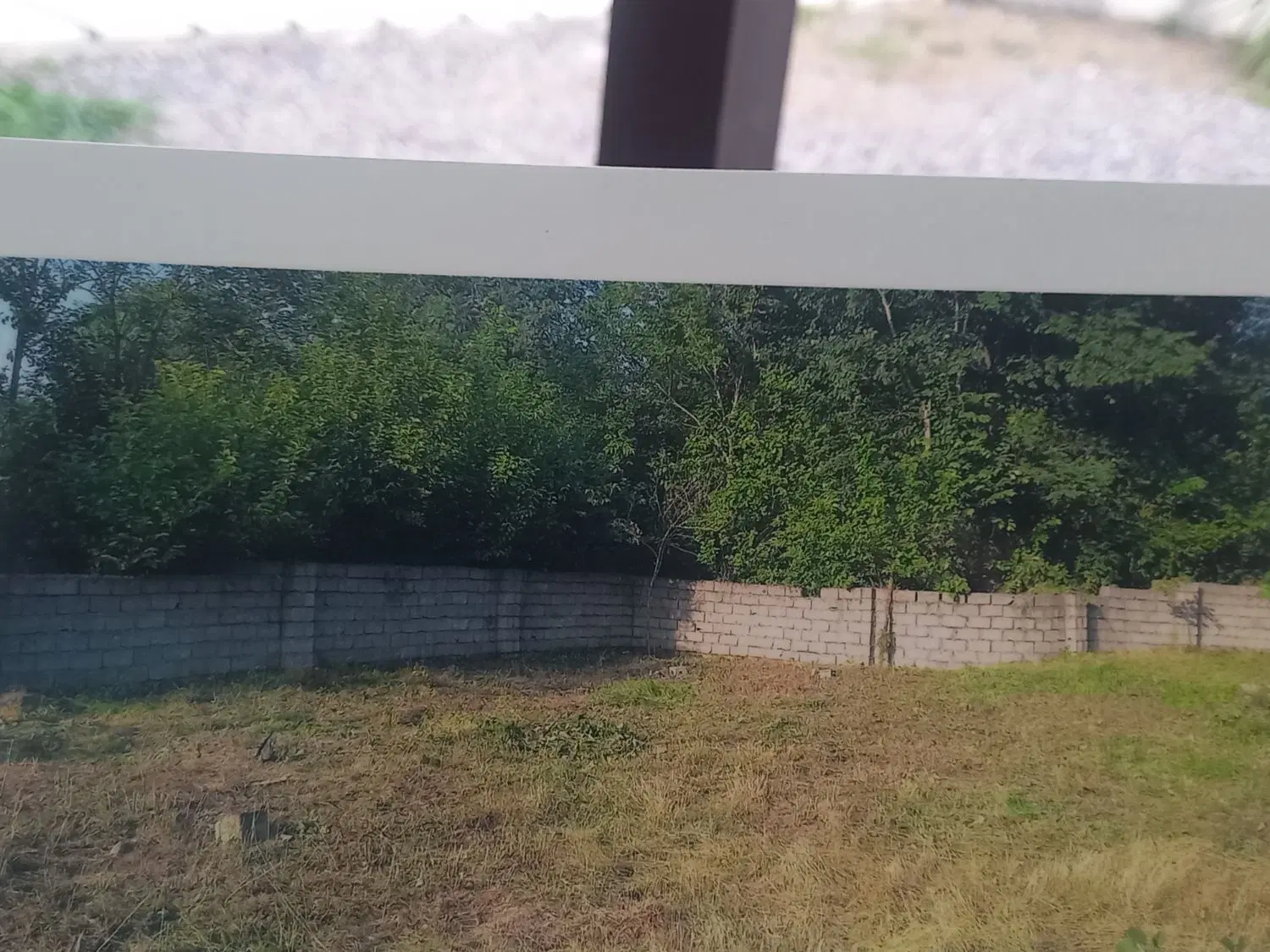 زمین با کاربری وسند تک برک در لیالستان لاهیجان