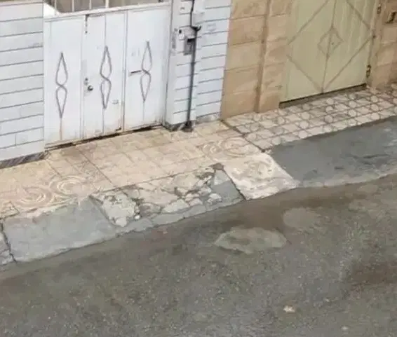 هم خونه