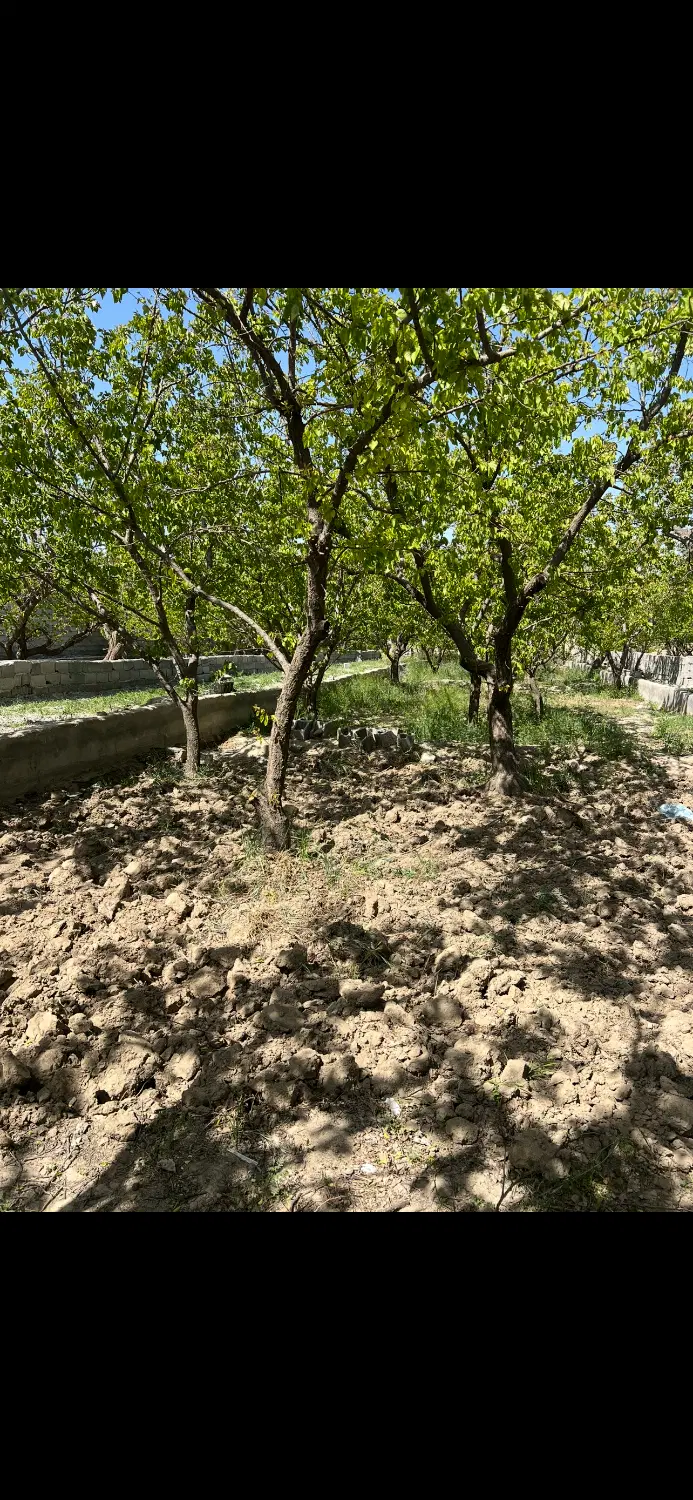 باغ و باغچه ۷۵۰ متری