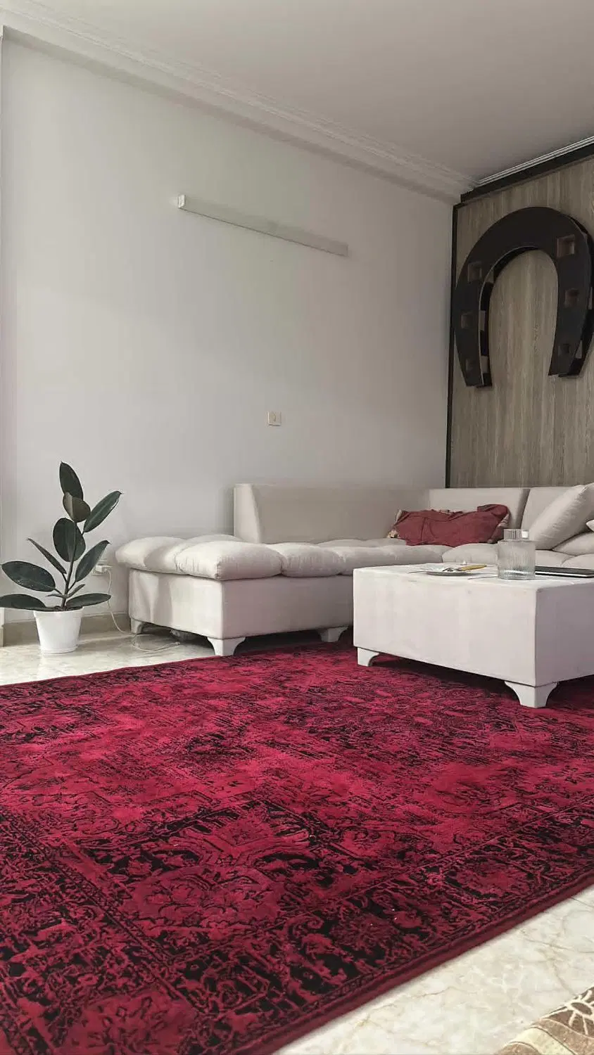 هم خانه خانم