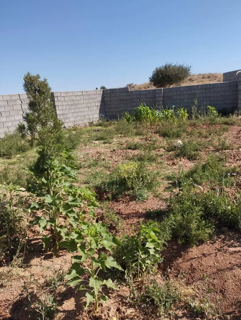 فروش زمین برای ساخت ساز