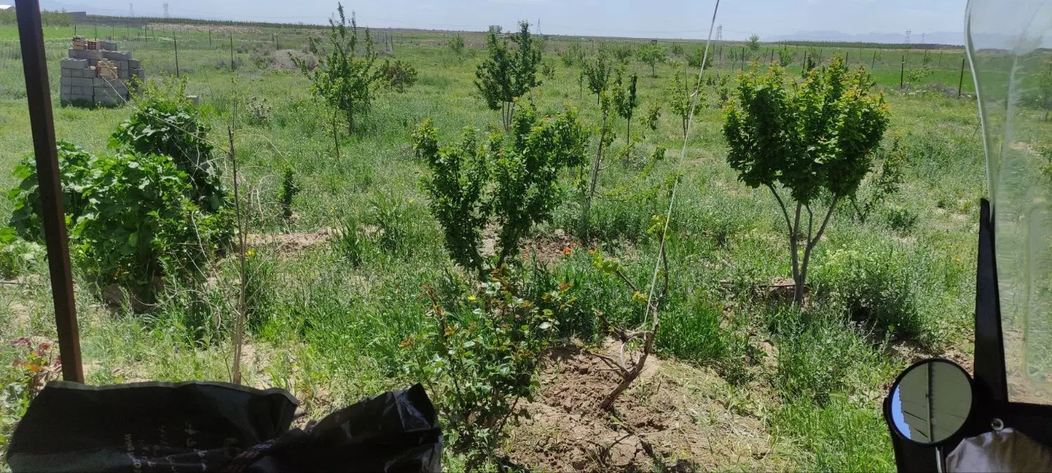فروش باغ ۶۰۰۰هزارمتری .درشبستر
