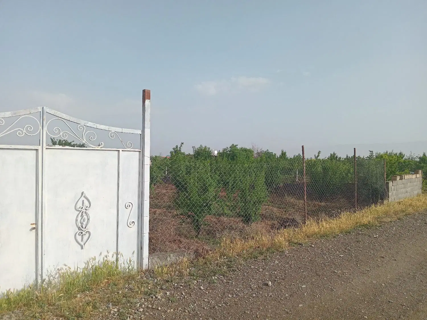 فروش باغچه ۱۵۰۰ متری تنکمانروبروی امامزاده تنکمان