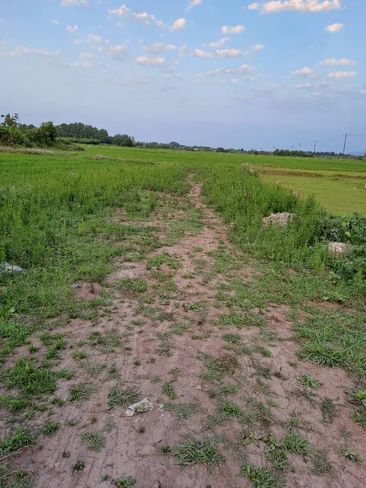زمین باغی . با مجوز بوم گردی . ومسکونی