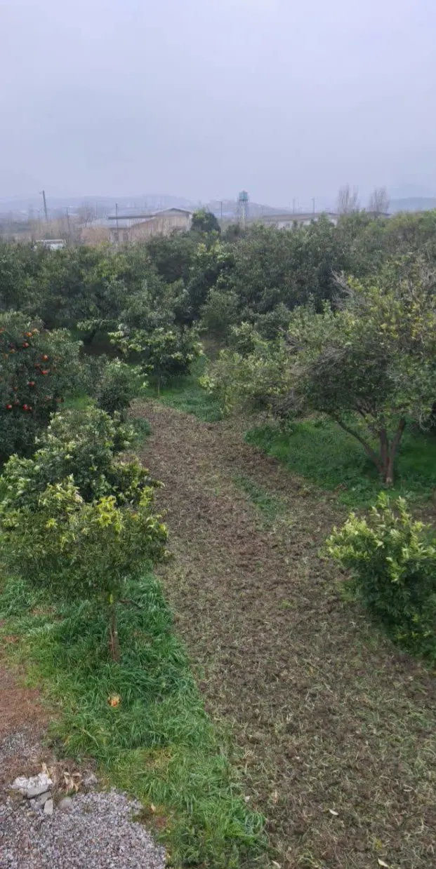 فروش زمین باغی تو روستای زیبا انارستان