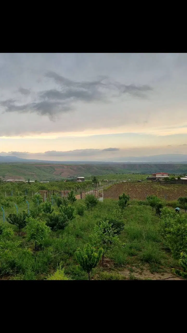باغ جاده قدیم.روستای عرب