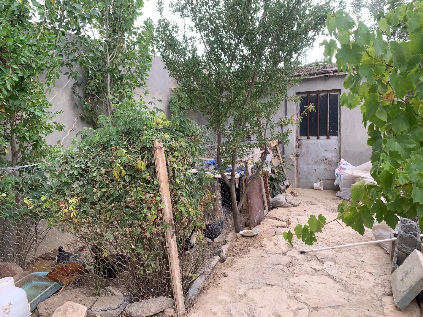 فروش ویلایی قلندرآباد