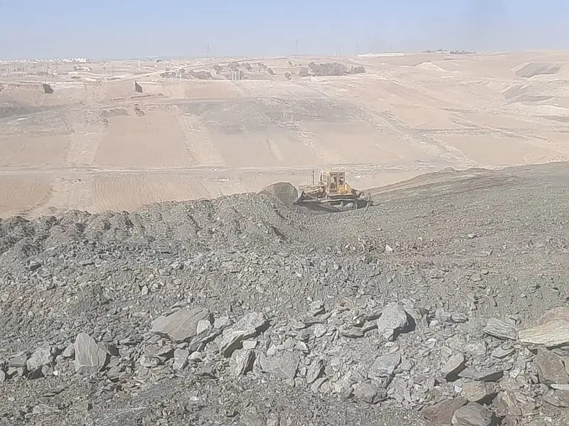 زمین فضای سبز