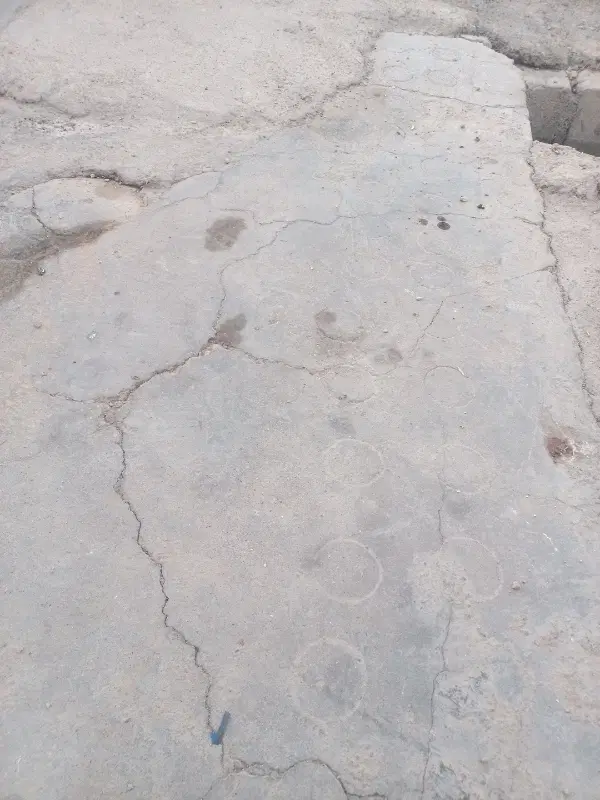 زمین