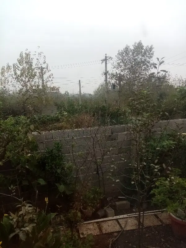 فروش زمین