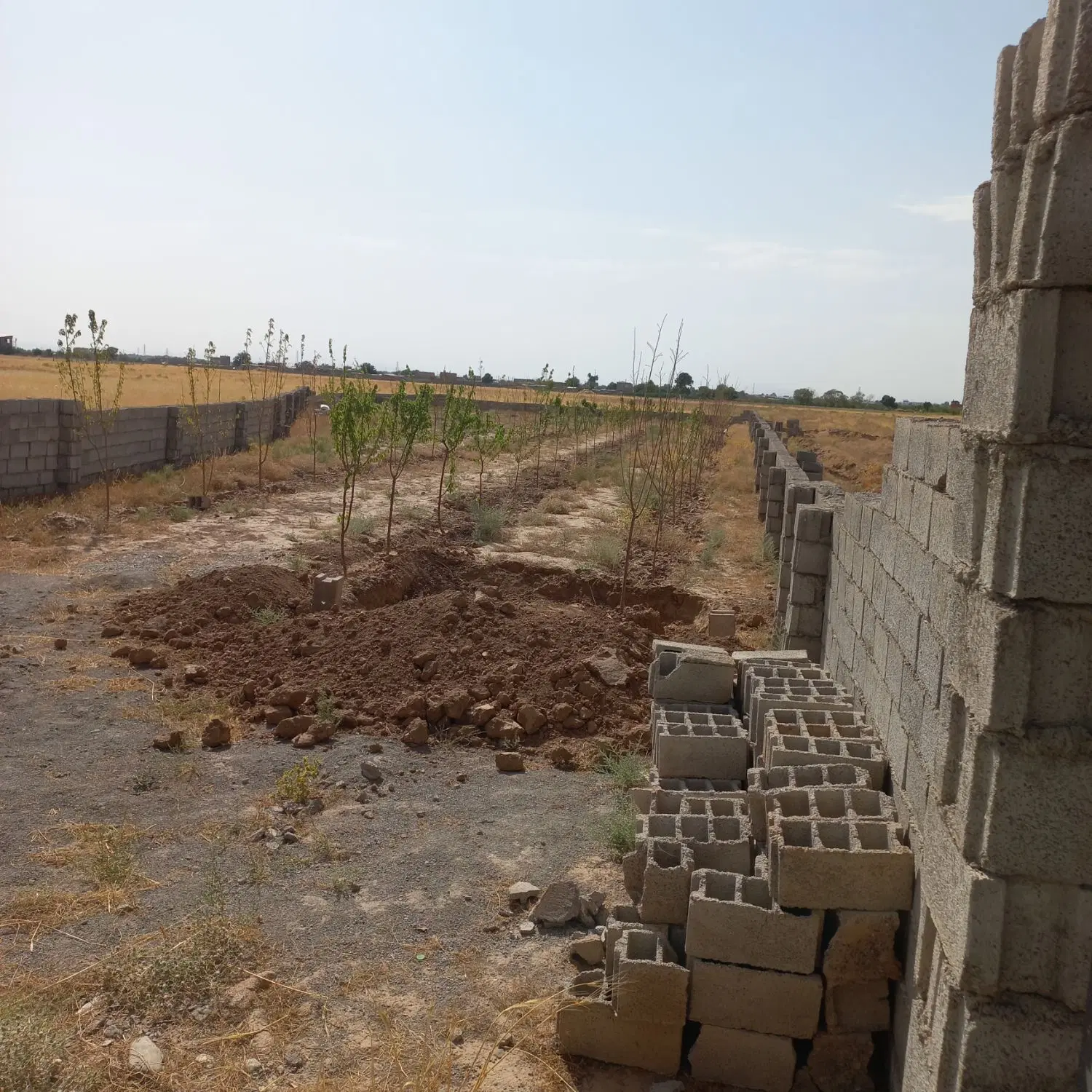 باغ جاده فیلخانه