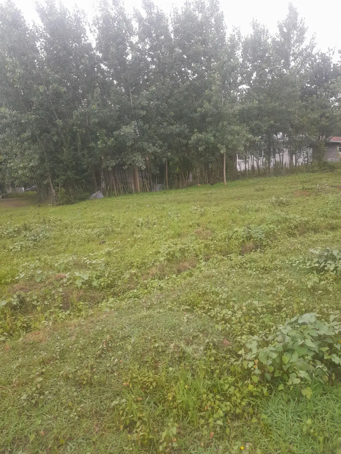 ۱۵۰۰ متر زمین  ویو ابدی در دل کوه