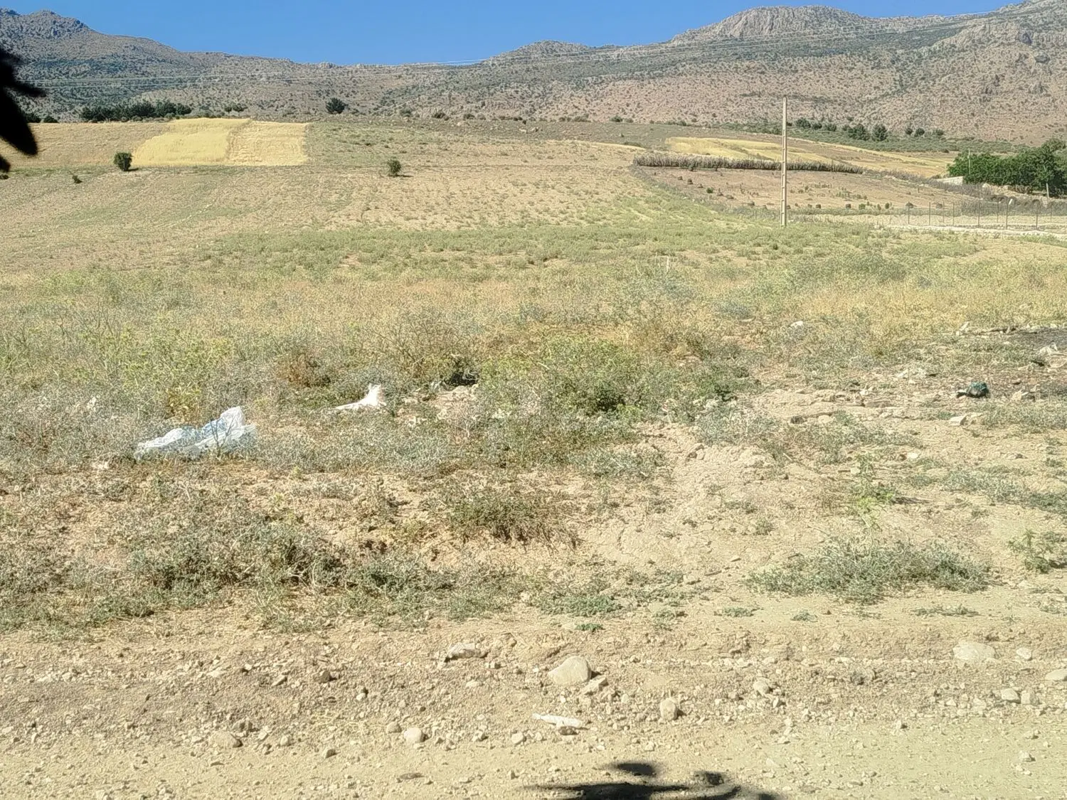 دوقطعه زمین طرح هادی در روستای قلعه نو