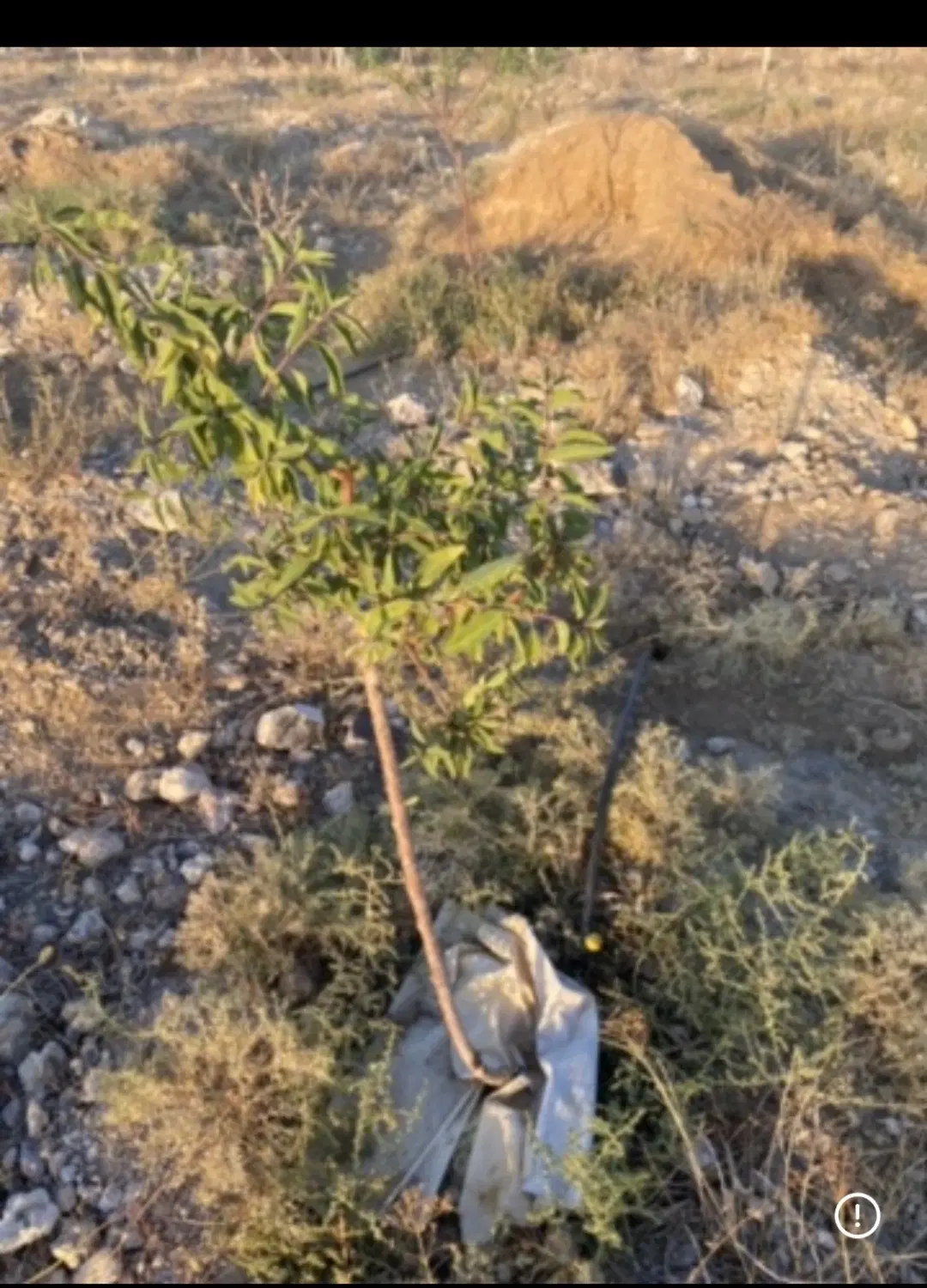 زمین دیم جاده گلعذان درست جلوی اب بند