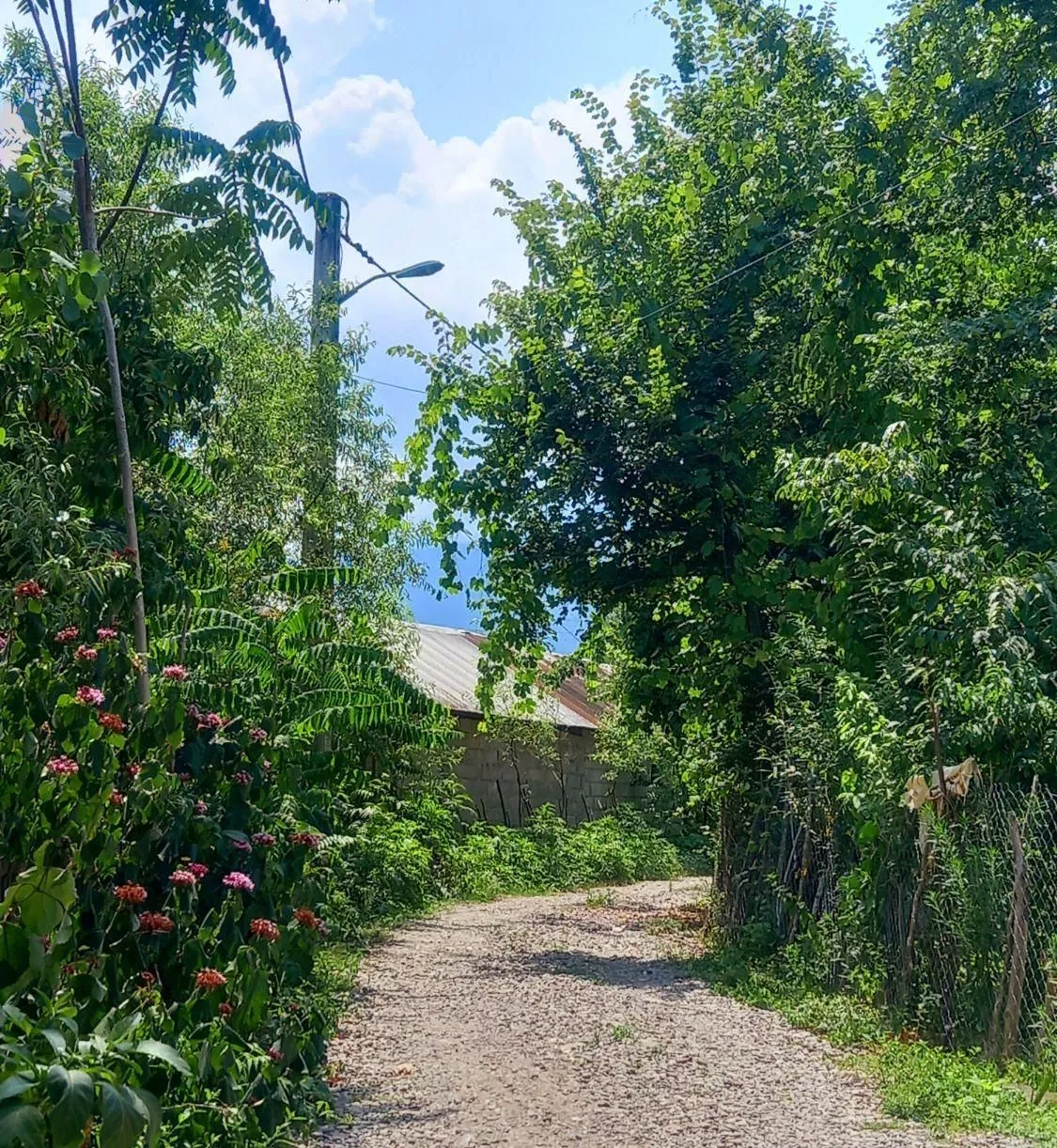 سوئیت و ویلای دوخواب ماسال