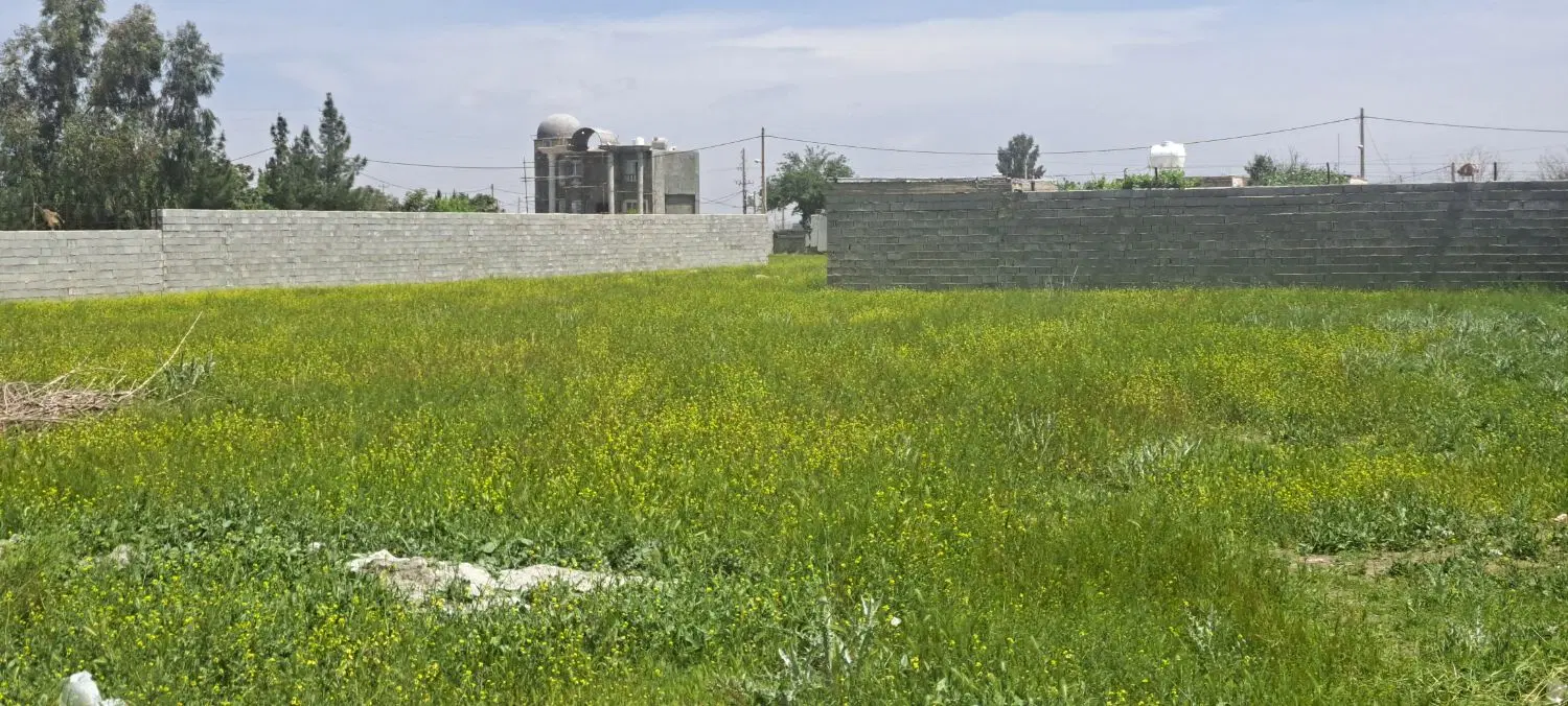 باغشهری فدالزهرا