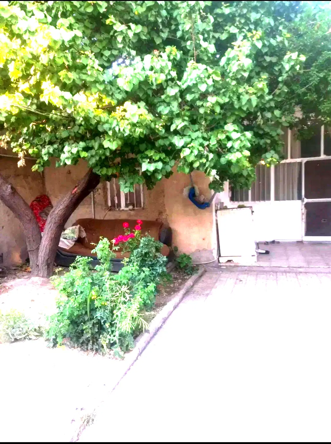 ملک ویلایی سنداردر تنکمان